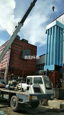 徐州邳州市25T生物质锅炉除尘器配迷宫式阻火器厂家承诺防烧袋糊袋冒黑烟